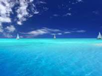 9170金沙(第一娱乐)娱城官网入口