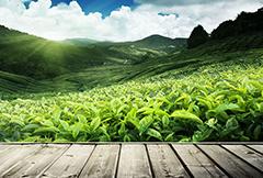 9170金沙(第一娱乐)娱城官网入口